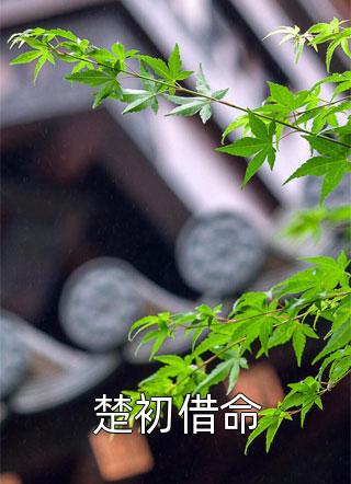 急！我的文官手持万斤神力