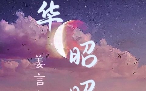 (夏昭昭江离)韶华昭昭全集阅读_(韶华昭昭)全本免费在线阅读