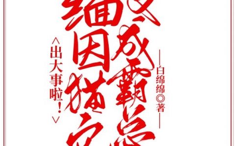 《出大事啦！缅因猫它变成霸总了！》司骋秦纯_《出大事啦！缅因猫它变成霸总了！》完结版免费阅读