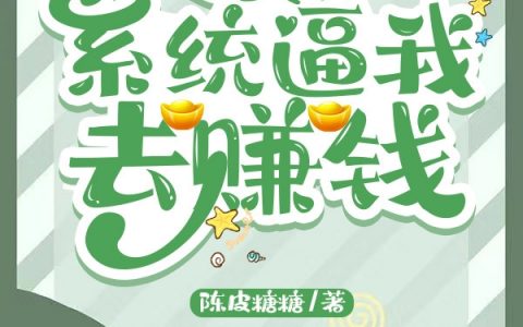 《七零：系统逼我去赚钱》周舟陆轻舟_周舟陆轻舟全集在线阅读