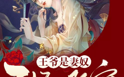 《医妃难宠：王爷是妻奴》苏沐林宛瑜全章节在线阅读_医妃难宠：王爷是妻奴全文免费在线阅读