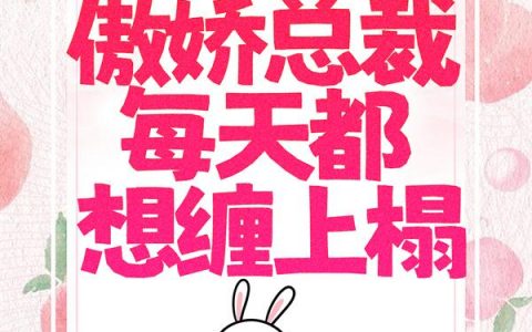 苏小甜夜辰夕（甜妻入怀,总裁太凶猛）免费阅读无弹窗_甜妻入怀,总裁太凶猛苏小甜夜辰夕全文免费阅读无弹窗大结局