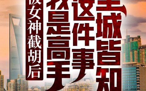 被女神截胡后，我是高手这件事全城皆知（叶宁林雪）全文免费阅读无弹窗大结局_被女神截胡后，我是高手这件事全城皆知最新章节列表_笔趣阁（叶宁林雪）