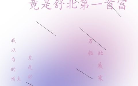 刀粒北夜寒（我以为的娇夫，竟是舒北第一首富）免费阅读无弹窗_我以为的娇夫，竟是舒北第一首富刀粒北夜寒全文免费阅读无弹窗大结局