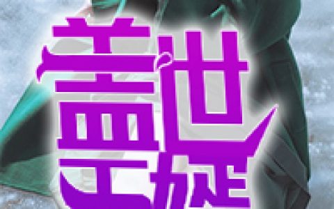 盖世王婿（盖世王婿）全文免费阅读无弹窗大结局_ （盖世王婿）盖世王婿最新章节列表