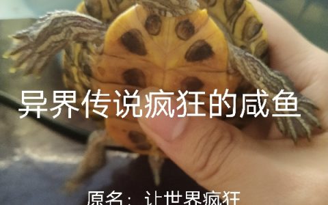 异界传说疯狂的咸鱼（罗子枫黑影）全文免费阅读无弹窗大结局_异界传说疯狂的咸鱼最新章节列表