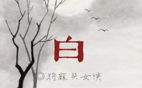 白衣（白衣）全文免费阅读无弹窗大结局_（白衣）白衣最新章节列表_笔趣阁（白衣）