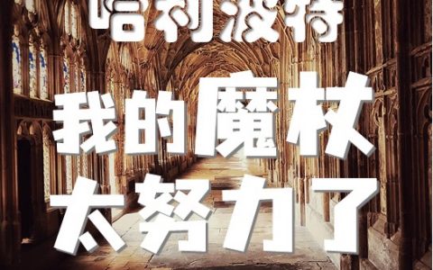 哈利波特：我的魔杖太努力了维恩（维恩）全文免费阅读无弹窗大结局_（维恩）哈利波特：我的魔杖太努力了小说最新章节列表_笔趣阁（维恩）