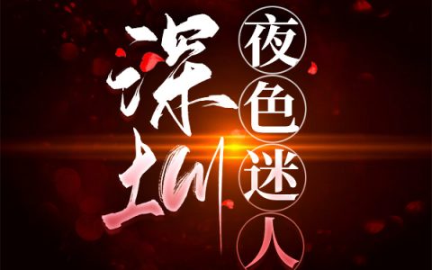 深圳，夜色迷人（陈彬）全文免费阅读无弹窗大结局_(深圳，夜色迷人小说免费阅读)最新章节列表_笔趣阁（深圳，夜色迷人）