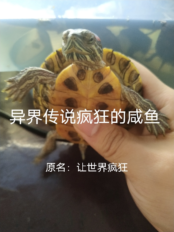 异界传说疯狂的咸鱼