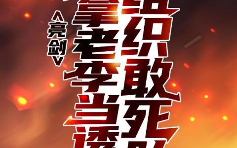 【完整版】亮剑：组织敢死队，我拿老李当诱饵李云龙林峰精彩阅读_李云龙林峰小说在线分享